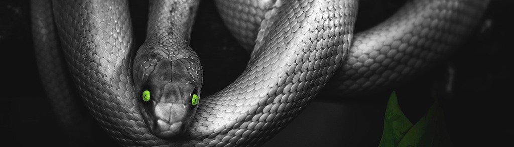 Snake ransomware2